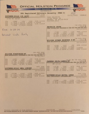 225951