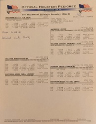 225951