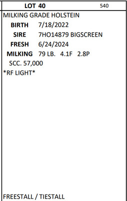 226070