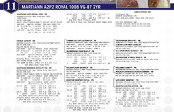 222963