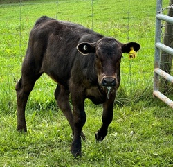 229189