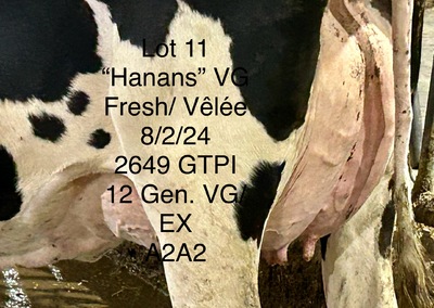 231355