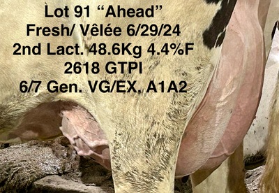 231623