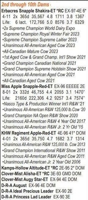 236525