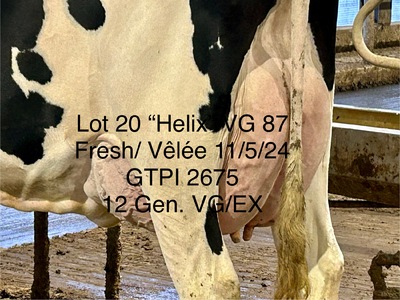 238308