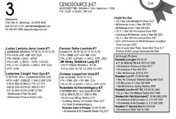 245802