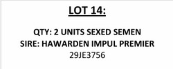 246308