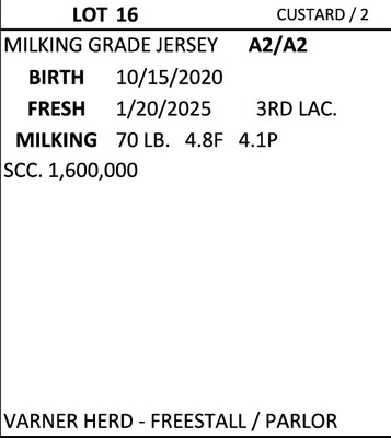 244020