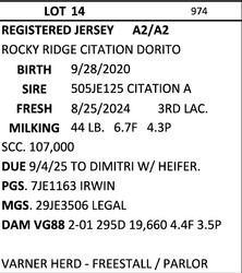244016