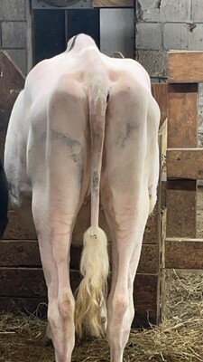 257235