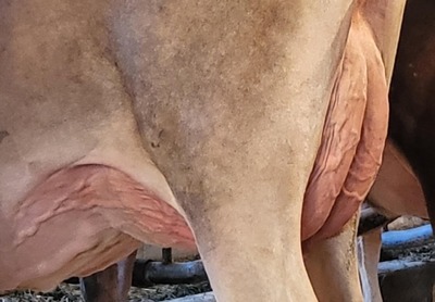 257016