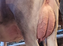 257015