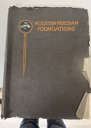 247085