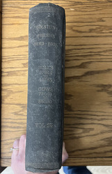 247119