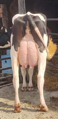 275854