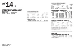 256310