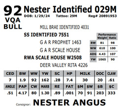 261576