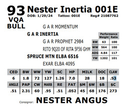 261577
