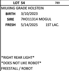 274826