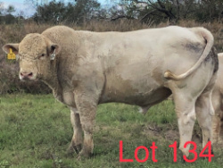 134