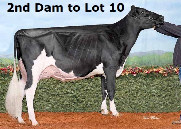 10-5