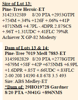 13-3