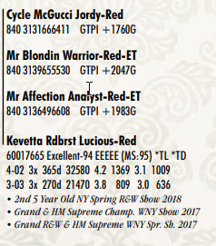8462