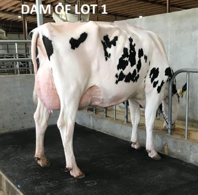 10730