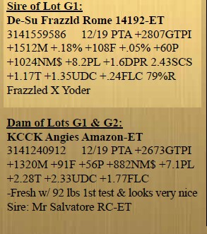 G1-3