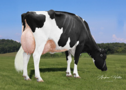 1A
