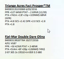 14729