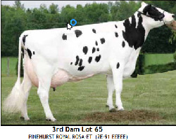 2542