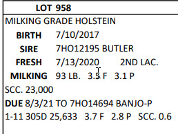 13126