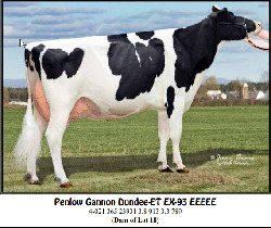 4020