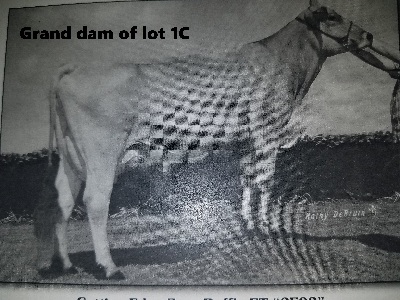 4635