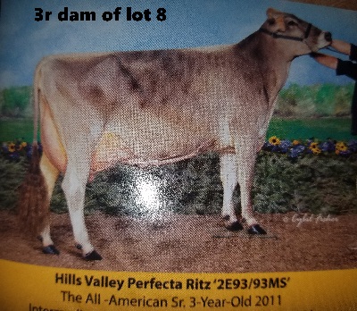 4648