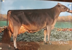 4624