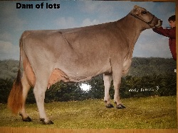 4628