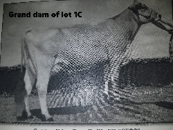 4635