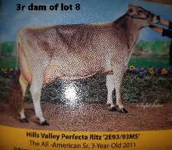 4648
