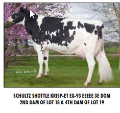 4958