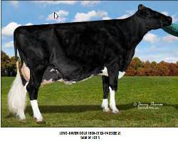 5019