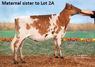 15226