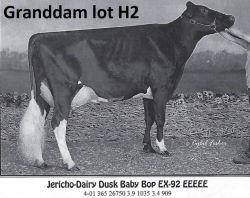 15228