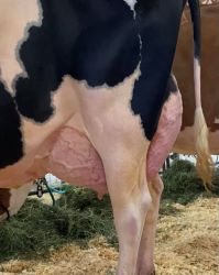 18350