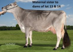 15739