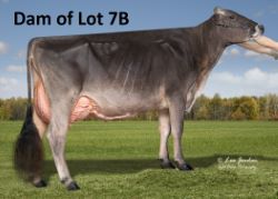 15790
