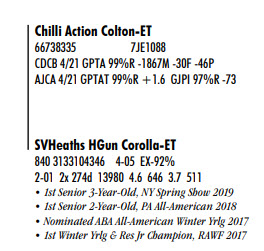 28235