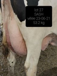 25345
