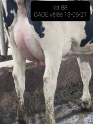 25430